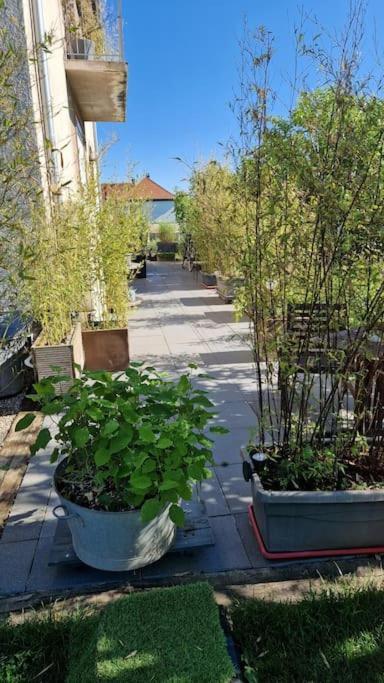 Gite La Passerelle Lägenhet Ostheim Exteriör bild